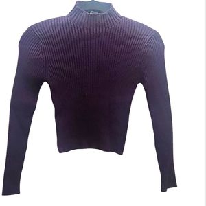 Truth By Republic purple Ribbed Turtleneck
